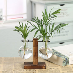 Elevate Your Greenery with the Hydroponic Transparent Plant Vases – The Stylish, Effortless Way to Showcase Your Plants!