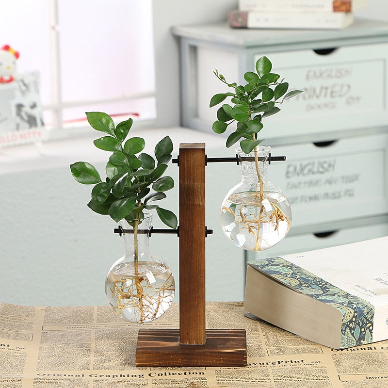 Elevate Your Greenery with the Hydroponic Transparent Plant Vases – The Stylish, Effortless Way to Showcase Your Plants!