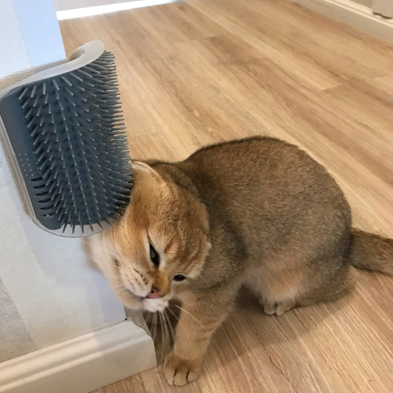 Interactive Cat Grooming and Massage Brush