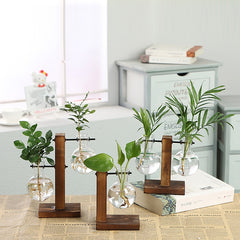 Elevate Your Greenery with the Hydroponic Transparent Plant Vases – The Stylish, Effortless Way to Showcase Your Plants!