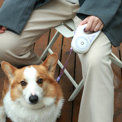 Illuminate Your Walks with the LED Lights Dog Leash – Safety, Style, and Freedom for Your Furry Friend!